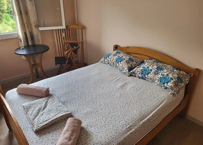 Private Room-1 In Hannana Apartment- 2 Min Walk To Tram 12 Min To Nice Train Station 15 Min To Massena Place